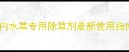 水稻田水草克星河内水草专用除草剂最新使用指南高效安全不伤苗