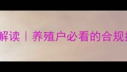 农业部饲料兽药新规解读养殖户必看的合规指南与成本控制技巧