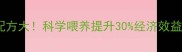 养殖户必看正大饲料配方大科学喂养提升30经济效益附详细操作指南