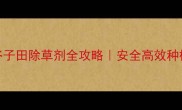 种水稻必看谷子田除草剂全攻略安全高效种植技巧大公开