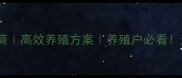 天津环渤海饲料供应商高效养殖方案养殖户必看天津大洋饲料厂家全