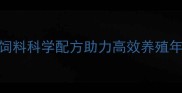西农大研发鸡饲料科学配方助力高效养殖年均增收超30