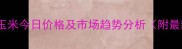 广卅吉辽玉米今日价格及市场趋势分析附最新行情