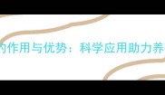 羽毛粉饲料的作用与优势科学应用助力养殖效益提升