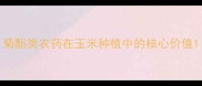 菊酯类农药在玉米种植中的核心价值