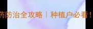 栾树常见病虫害及农药防治全攻略种植户必看附用药清单与避坑指南