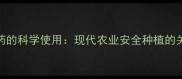 化肥农药的科学使用现代农业安全种植的关键指南