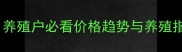 肉鸡苗最新报价表养殖户必看价格趋势与养殖指南附详细分析
