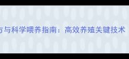 鹌鹑鸟饲料配方与科学喂养指南高效养殖关键技术附最新数据