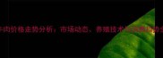 抚顺牛肉价格走势分析市场动态养殖技术与消费趋势全解读