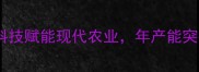金牧生物饲料公司创新科技赋能现代农业年产能突破50万吨的饲料行业标杆