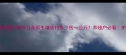 生猪批发市场最新行情今日全国生猪价格多少钱一公斤养殖户必看附养殖成本分析