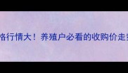 河南淘汰鸡价格行情大养殖户必看的收购价走势与市场分析