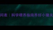 仔猪饲料喂养时间表科学喂养指南养好小猪关键期新手必看