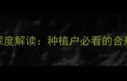 新农药使用政策深度解读种植户必看的合规指南与风险防范