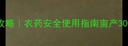 马铃薯高效种植全攻略农药安全使用指南亩产3000斤的秘诀大公开