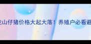 今日龙山仔猪价格大起大落养殖户必看避坑指南