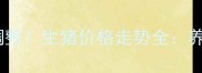 临储政策调整生猪价格走势全养殖户必看