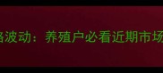 杨州高邮生猪价格波动养殖户必看近期市场动态与行业趋势