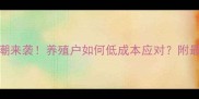 饲料涨价潮来袭养殖户如何低成本应对附最新解决方案