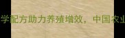 希杰饲料颗粒科学配方助力养殖增效中国农业提质升级新选择