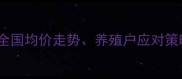鸡蛋价格波动全全国均价走势养殖户应对策略与未来市场预测