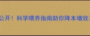 种猪饲料配方标准大公开科学喂养指南助你降本增效养殖户必看干货