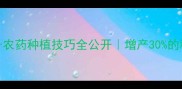 最新苏灵一号农药种植技巧全公开增产30的秘诀农民必看
