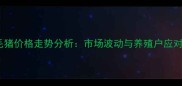 南充毛猪价格走势分析市场波动与养殖户应对策略