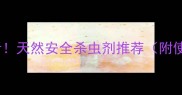 葡萄种植必看天然安全杀虫剂推荐附使用教程
