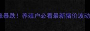 陕西省生猪价格暴涨暴跌养殖户必看最新猪价波动全附养殖技术