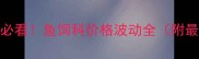 水产养殖必看鱼饲科价格波动全附最新报价表