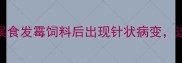 养殖户警惕兔子误食发霉饲料后出现针状病变这些处理方法能救命