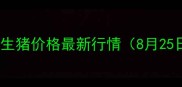 临沂生猪价格最新行情8月25日