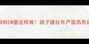发酵鸽饲料EM菌这样做鸽子健壮年产蛋高养鸽人必看