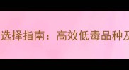 稻谷种植农药选择指南高效低毒品种及安全用药全