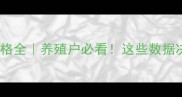 山东肉鸡行情价格全养殖户必看这些数据决定你的年底收益