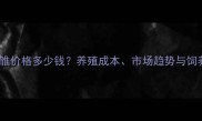 辽宁肉鸡雏价格多少钱养殖成本市场趋势与饲养技巧全