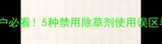 甜玉米种植户必看5种禁用除草剂使用误区与安全指南