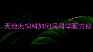中国饲料品牌十强天地大饲料如何用科学配方助力养殖效益提升30