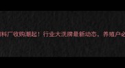 山东饲料厂收购潮起行业大洗牌最新动态养殖户必看