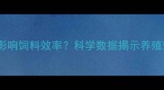 水质调控如何影响饲料效率科学数据揭示养殖效益倍增密码