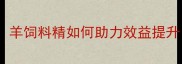 科学养殖新趋势羊饲料精如何助力效益提升全与操作指南