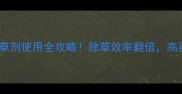 山东碧奥高粱地除草剂使用全攻略除草效率翻倍高粱亩产稳中有升