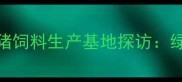 延边朝鲜族自治州现代化猪饲料生产基地探访绿色科技赋能畜牧产业升级