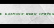 氧化锌饲料的真相科学添加如何提升养殖效益附权威使用指南最新数据