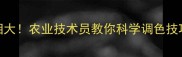 黄叶一喷绿真相大农业技术员教你科学调色技巧与安全用药指南
