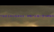辽宁彰武玉米价格波动全种植户必看行情与种植攻略