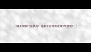 湖北饲料行业黑马这家企业凭啥连续3年登顶