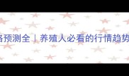15年鸡苗价格预测全养殖人必看的行情趋势与避坑指南